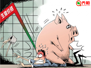 猪价持续回落,这个年可以放开了吃猪肉,各种腊肉,腌肉