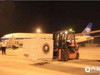 大熊猫丫丫回到北京,被竹子包围,都笑成表情包了