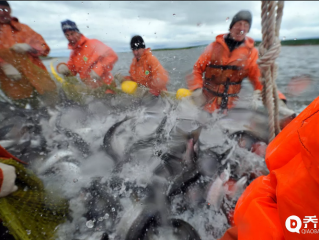 俄罗斯希望增加对华海产品出口,满足中国市场需求