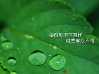 人生格言三百条