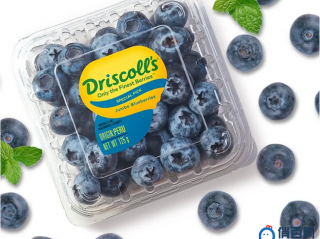 Driscoll's怡颗莓,蓝莓界的保时捷