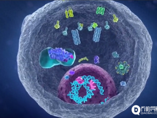 重大突破!科学家找到癌细胞的生死开关!