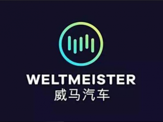 威马汽车上海销售公司1.3 亿财产被冻结