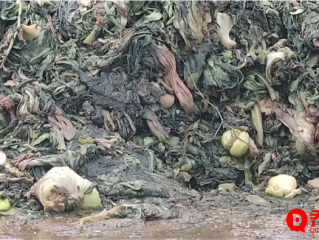 知名橄榄菜企业生产环境触目惊心 网友:以后还能相信谁