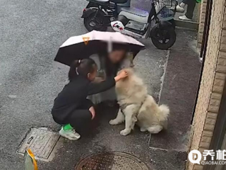 江苏女子路边碰见狗好奇上前摸几下 遭狗撕咬面部,痛苦尖叫!